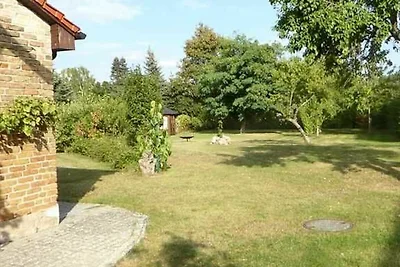 Appartamento Vacanza con famiglia Wustrow (Ostsee)
