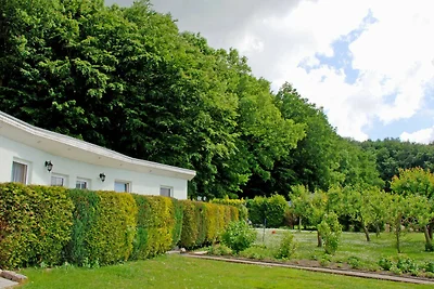 Ferienwohnung Patzig Lee