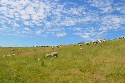 apartman za odmor Obiteljski odmor Moormerland