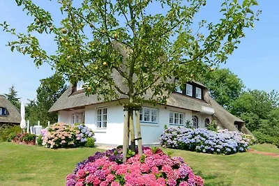 Vakantieappartement Gezinsvakantie Nieblum