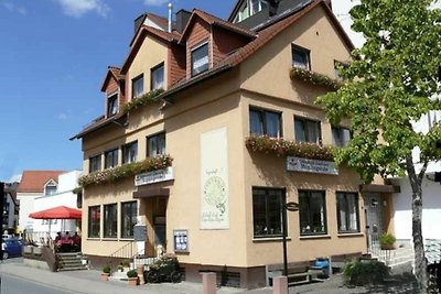 Hotel Cultuur en bezienswaardigheden Erbach im Odenwald