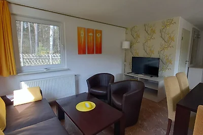 Albergo Cultura ed escursioni Trassenheide