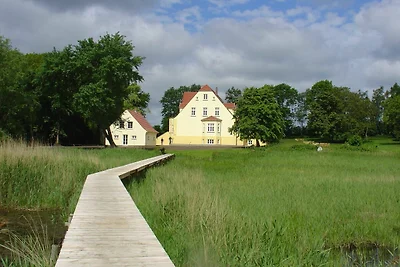 Ferienhaus Remise für 6 Personen mit grosser...