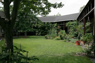 Hotel Cultuur en bezienswaardigheden Wittenberg