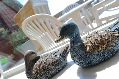 Casa vacanze Vacanza di relax Archsum