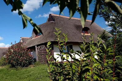 Hotel Cultuur en bezienswaardigheden Dobbin-Linstow