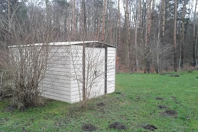 Fewo Küstenwald Eikkater 2