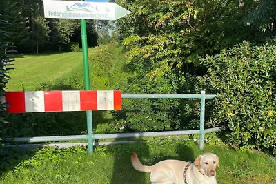 Vakantieappartement Gezinsvakantie Saterland
