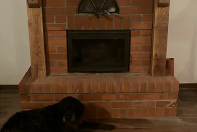 4) FeWo 3-Raum (90m², 5 Pers.