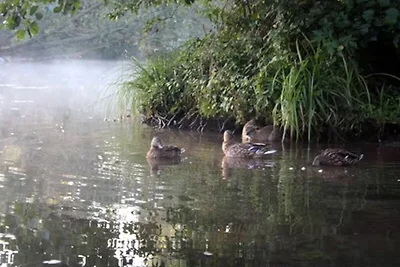 Appartamento Vacanza con famiglia Märkische Heide