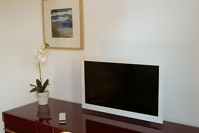 Lavendel Vorbau links (Seiteneingang)