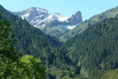Appartamento Vacanza con famiglia Schoppernau