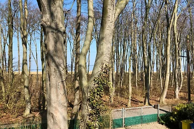 Appartamento Vacanza con famiglia Graal-Müritz