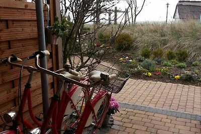 Ferienwohnung Austernfischer