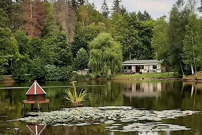 HAS-38 - Gemütliches Holzhaus am Rand des...