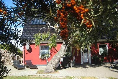 Appartamento Vacanza con famiglia Markgrafenheide