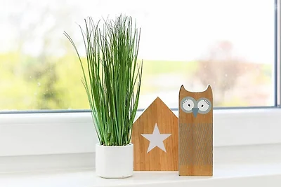 Ferienwohnung Strandaster