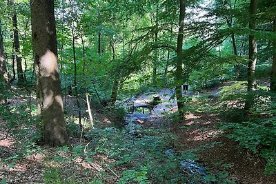 Vakantieappartement Gezinsvakantie Olsberg