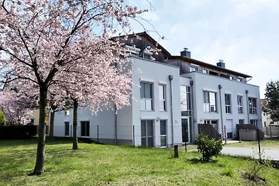 Appartment 7