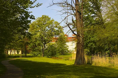 Fortezza/castello Villaggi e club vacanze Lübbenau