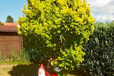 Appartement Vacances avec la famille Koserow