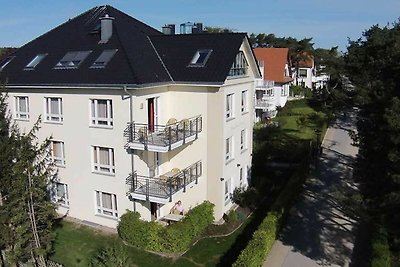 Typ V / Nr. 15