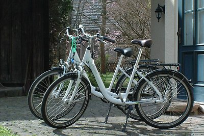 Ferienhaus Das Spreewaldhaus