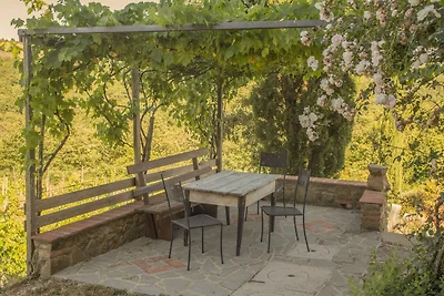 Vakantiehuis Ontspannende vakantie Siena