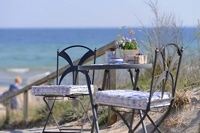 Schwarzer Bär Whg. Bär 03