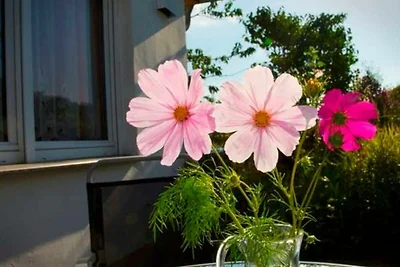 Vakantieappartement Gezinsvakantie Sassnitz