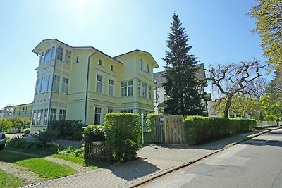 Wohnung 13