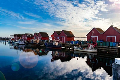 Schwarzer Bär Whg. Bär 04