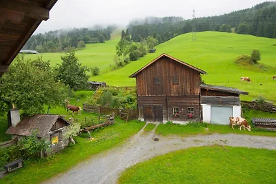 Appartamento Vacanza con famiglia Bad Hofgastein