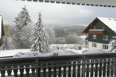 Vakantieappartement Gezinsvakantie Hohegeiß