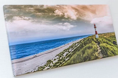 Ferienwohnung Austernfischer