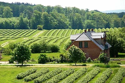 Ferienwohnung Pusteblume