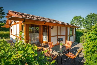 Albergo Cultura ed escursioni Bad Dürrheim