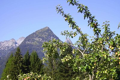 Vakantieappartement Gezinsvakantie Annaberg im Lammertal
