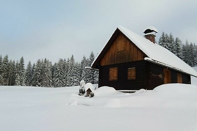 Vakantiehuis Ontspannende vakantie Spital am Pyhrn