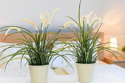 Apartment Wangerooge