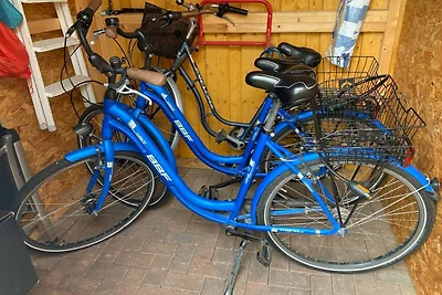 Ferienwohnung Strandwiese 5