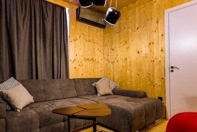 Festival Villa in Zrce 1h