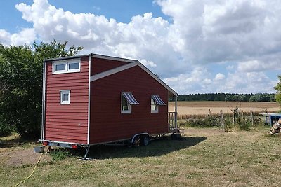 Vakantieappartement Gezinsvakantie Schönbeck