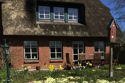 Vakantieappartement Gezinsvakantie Gelting