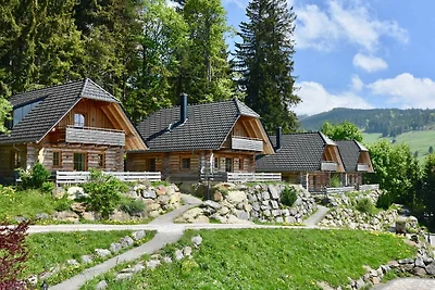 Hotel Cultuur en bezienswaardigheden Todtnau