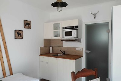 Vakantieappartement Gezinsvakantie Gifhorn