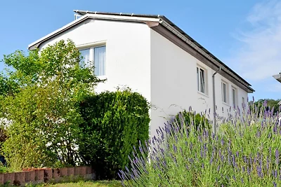 Vakantieappartement Gezinsvakantie Sellin