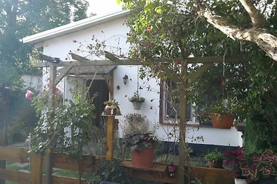 Appartamento Vacanza con famiglia Rankwitz