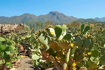 Vakantiehuis Ontspannende vakantie El Paso