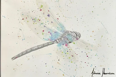 Libelle
